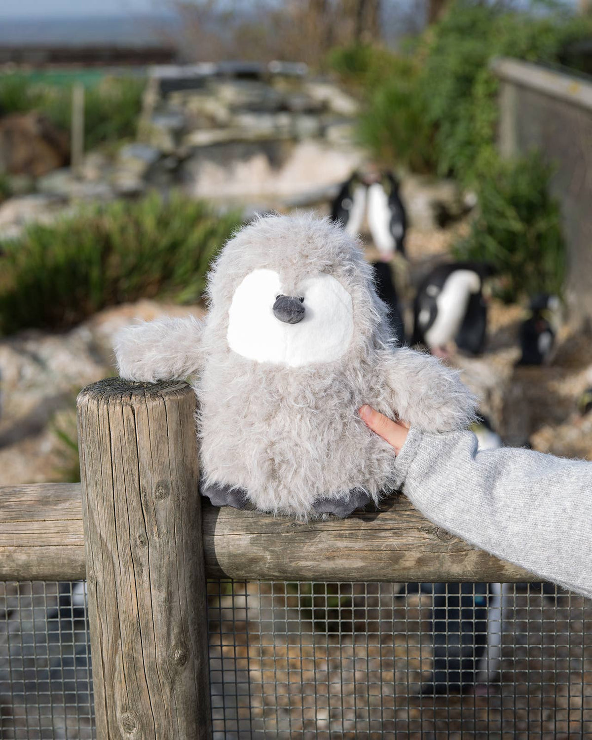 Zoo Crew Pebble the Penguin Chick