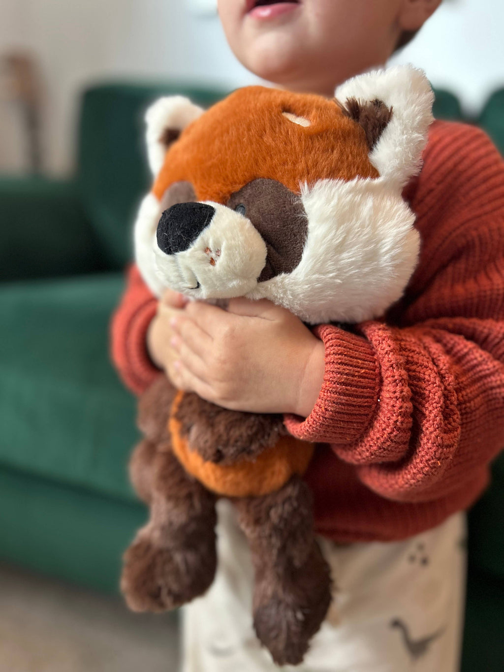 Zoo Crew Raffles the Red Panda